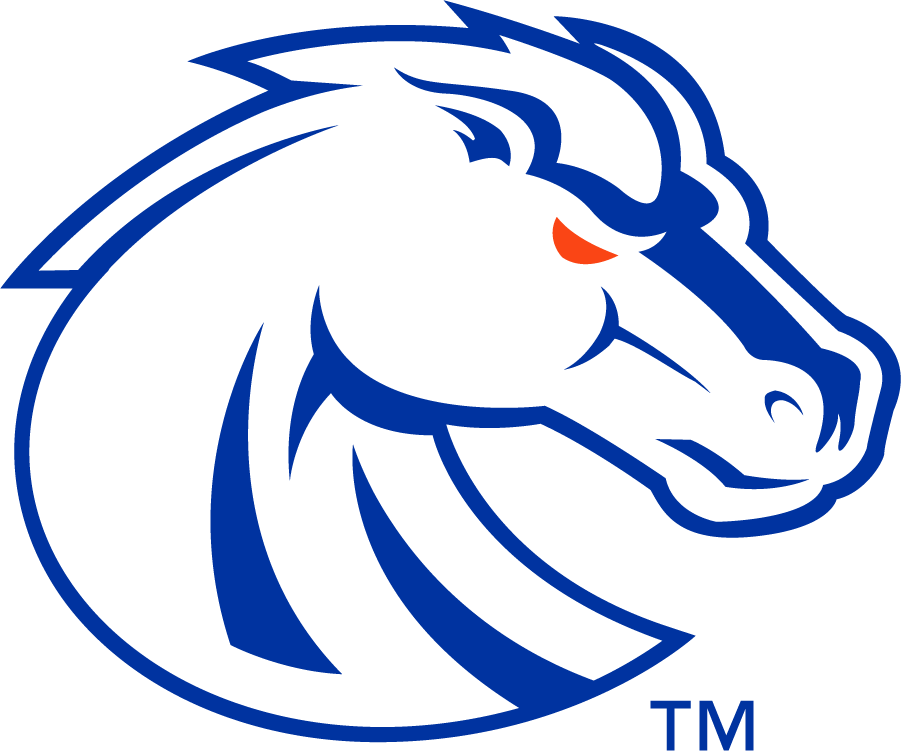 Boise State Broncos 2013-Pres Secondary Logo v4 diy DTF decal sticker